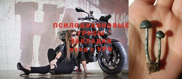 дживик Аркадак